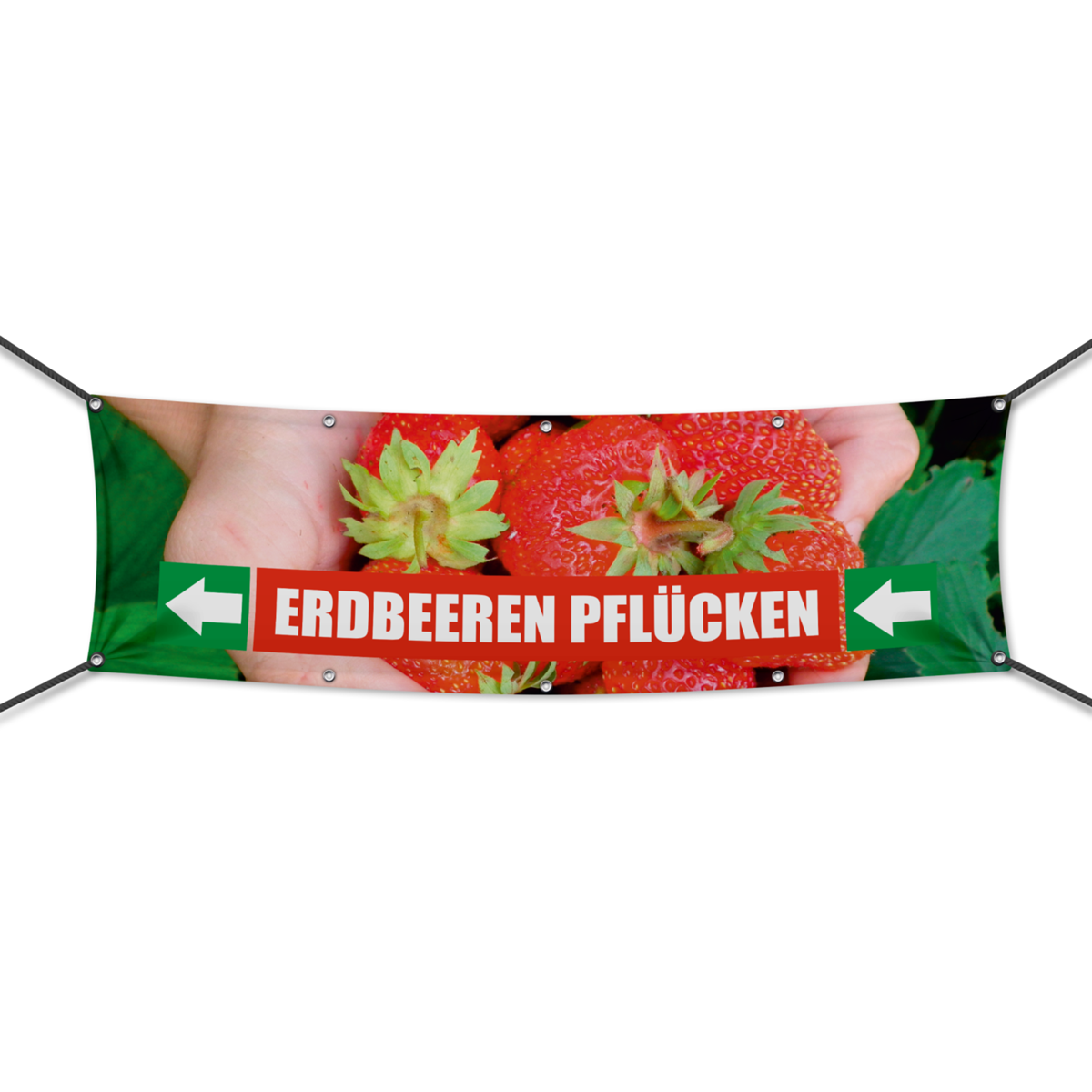 Erdbeeren pflücken Werbebanner, Banner in 6 Größen (1931)