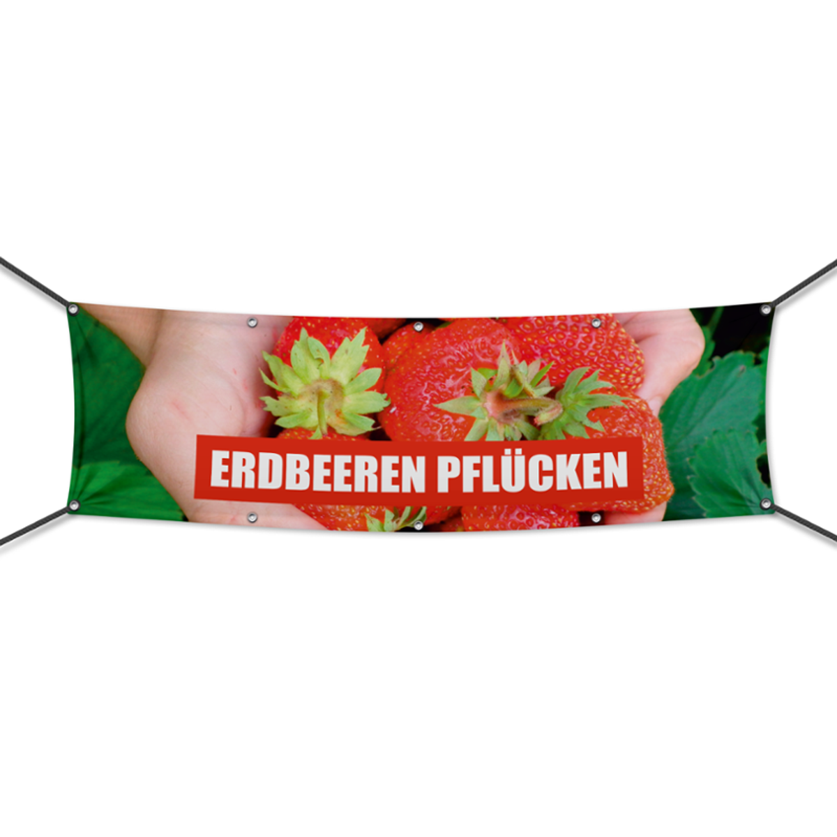 Erdbeeren pflücken Werbebanner, Banner in 6 Größen (1931)