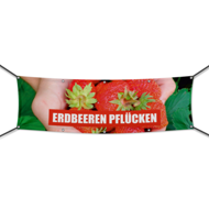 Erdbeeren pflücken Werbebanner, Banner in 6 Größen (1931)