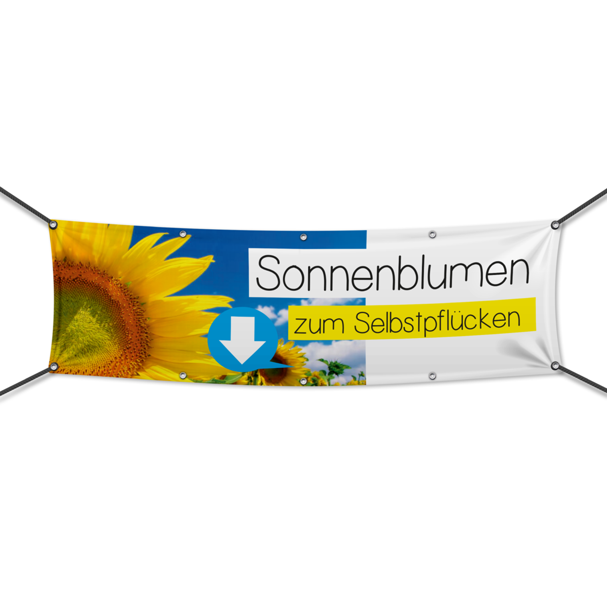 Sonnenblumen Werbebanner, Banner in 6 Größen (1644)