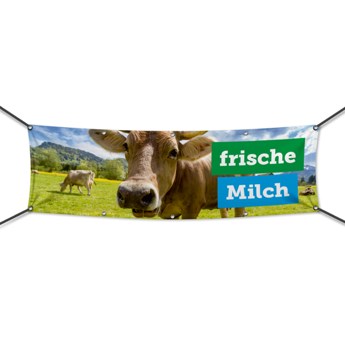 Frische Milch Werbebanner, Banner in 6 Größen (3216)