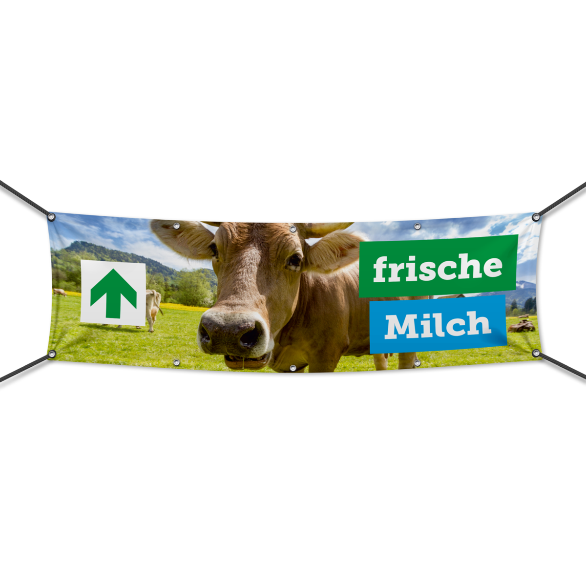 Frische Milch Werbebanner, Banner in 6 Größen (3216)